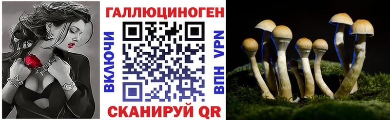 Псилоцибиновые грибы MAGIC MUSHROOMS Сольвычегодск